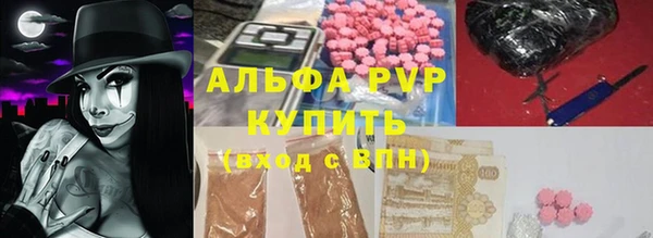 прущие грибы Алзамай