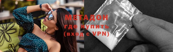 прущие грибы Алзамай