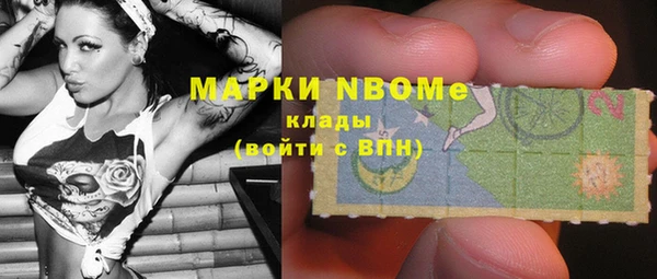 прущие грибы Алзамай