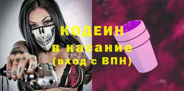 прущие грибы Алзамай