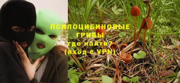 прущие грибы Алзамай