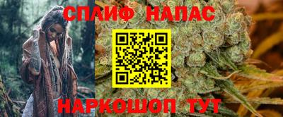 гашик Донецк