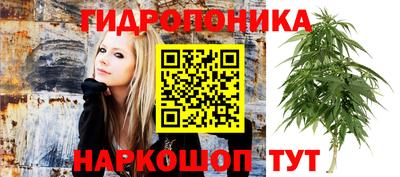 гашик Донецк