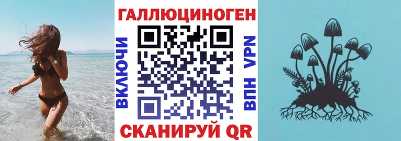 продажа наркотиков  Егорьевск  Псилоцибиновые грибы GOLDEN TEACHER 
