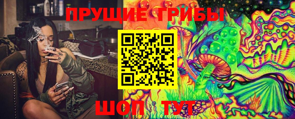 Псилоцибиновые грибы GOLDEN TEACHER  Галлюциногенные грибы Magic Shrooms  Егорьевск  Вход с VPN 