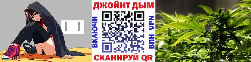 закладка Егорьевск Бошки марихуана THC 21%